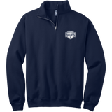 Montclair Blues NuBlend 1/4-Zip Cadet Collar Sweatshirt